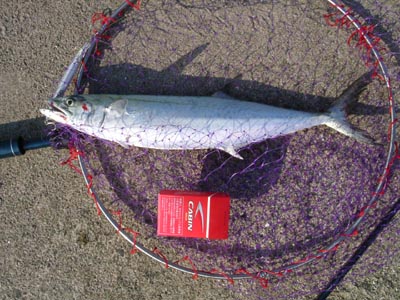 06110401.jpg 06110401.jpg