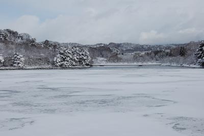 08010201.jpg 08010201.jpg