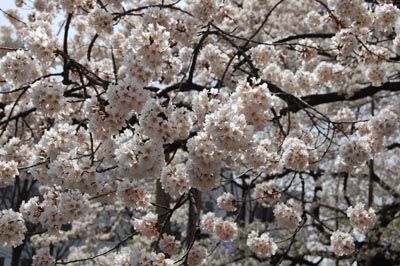 08041701.jpg 08041701.jpg