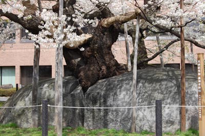 08041703.jpg 08041703.jpg