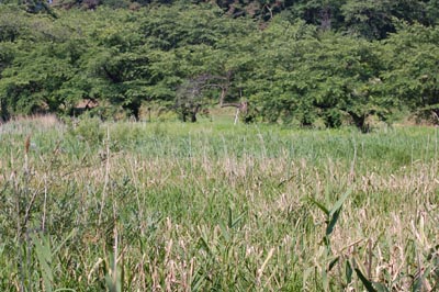 08062801.jpg 08062801.jpg