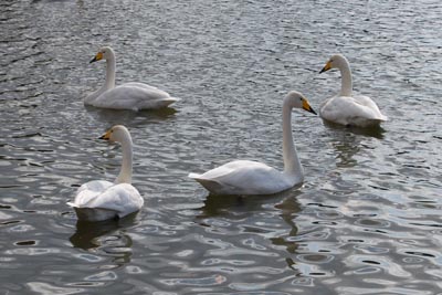 08110201.jpg 08110201.jpg