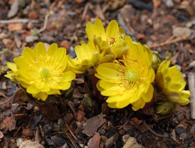 09041902.jpg 09041902.jpg