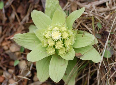 09041903.jpg 09041903.jpg