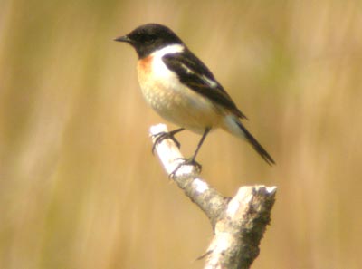 09051701.jpg 09051701.jpg