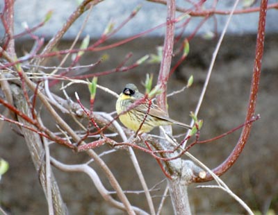 09052401.jpg 09052401.jpg