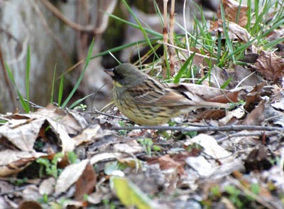 09052402.jpg 09052402.jpg