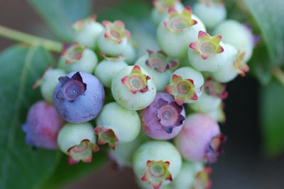 09072401.jpg 09072401.jpg