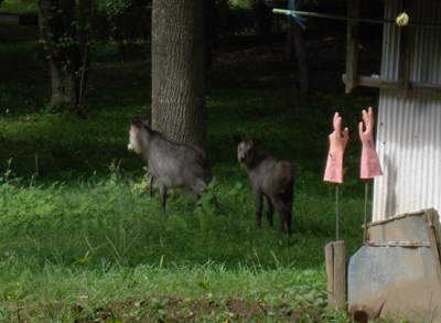 09082301.jpg 09082301.jpg