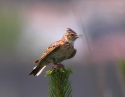 09090801.jpg 09090801.jpg