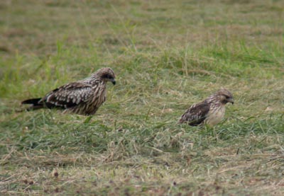 09093001.jpg 09093001.jpg