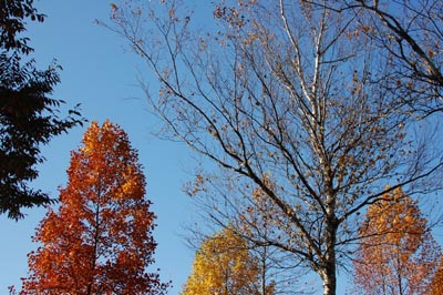 09102501.jpg 09102501.jpg