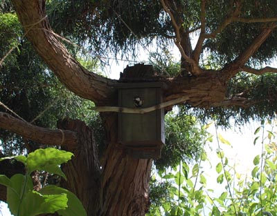 subako01.jpg subako01.jpg