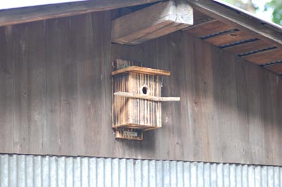 subako02.jpg subako02.jpg